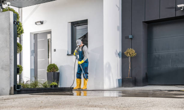Best Soft Washing  in Bluffton, SC